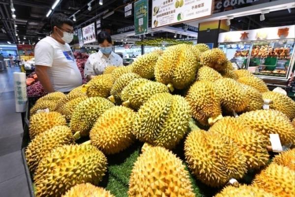 Nông dân Đông Nam Á đổi đời từ sầu riêng
